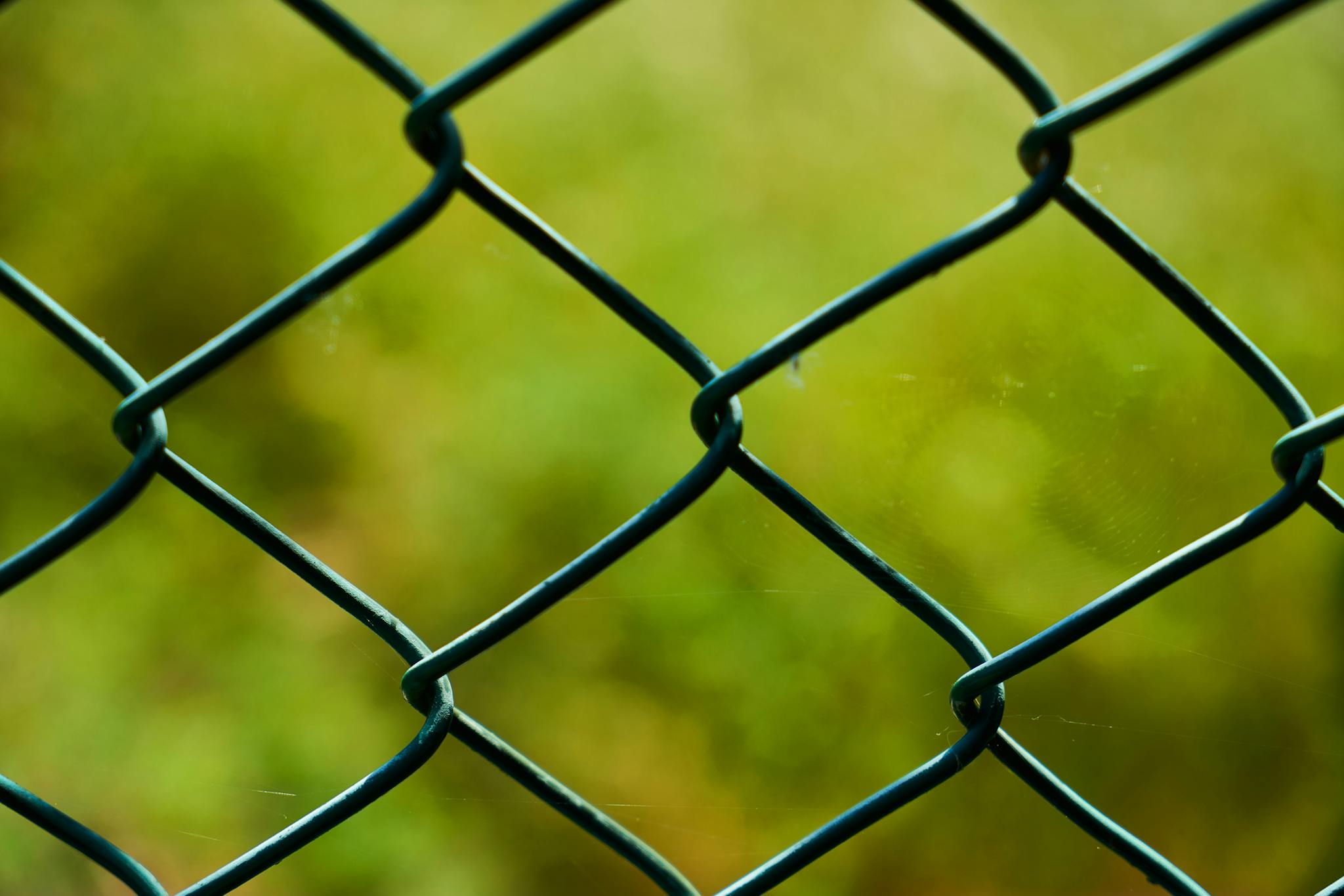 Close-up of a green chain link fence with a blurred natural background, suggesting security and boundaries.