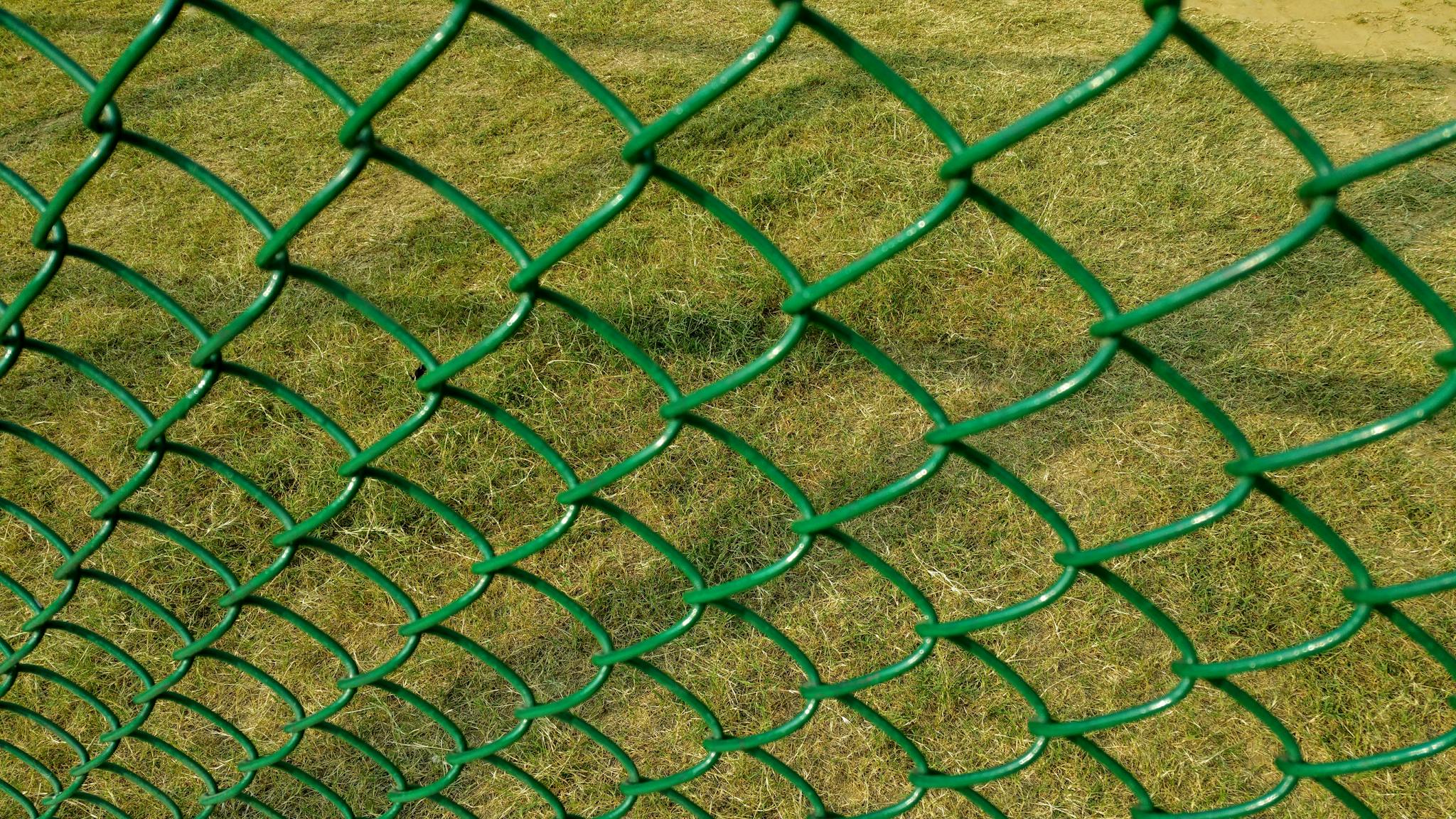 Close-up of a green wire fence with grassy background. Ideal for design and texture themes.